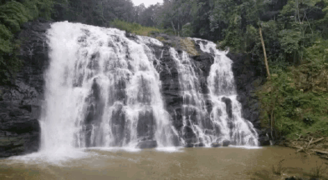 Waterfall Nature GIF - Waterfall Nature India GIFs
