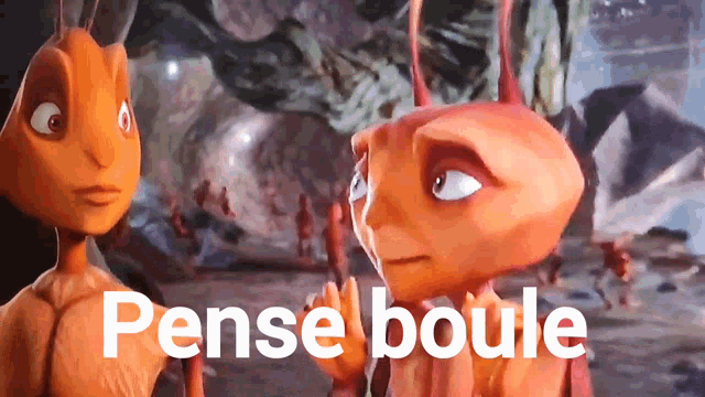 a couple of ants are standing next to each other and the words pense boule are visible