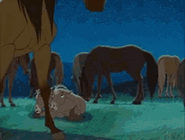 a herd of horses grazing in a field with a baby laying on the ground