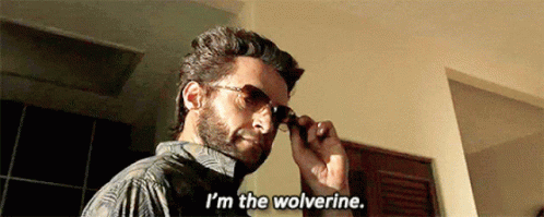 I Am Wolverine GIF - I Am Wolverine Deal With It GIFs