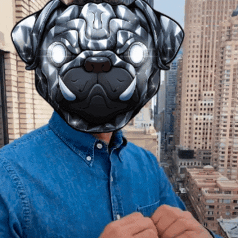 a man wears a pug mask on his face