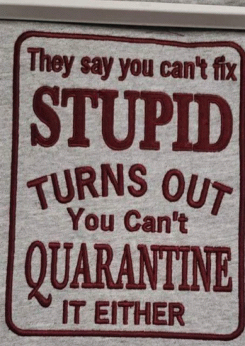 Quarantine Stupid GIF - Quarantine Stupid GIFs