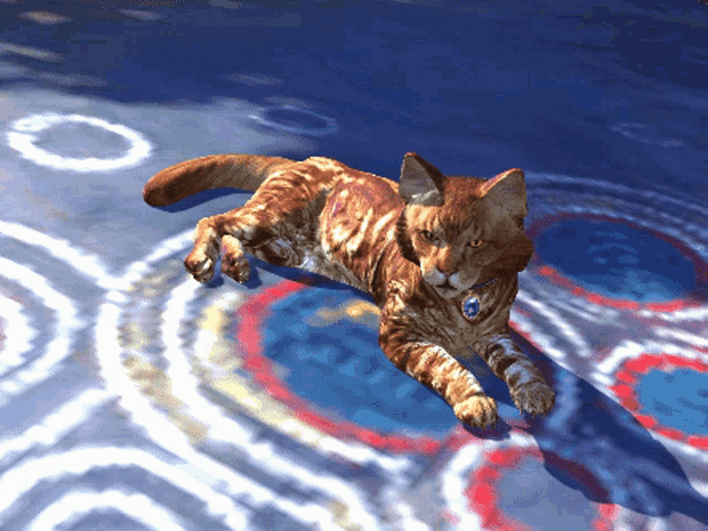 a cat with a blue tag on its neck laying on a blue surface