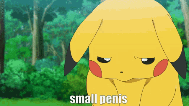 Pikachu Small Penis Small Cock GIF - Pikachu Small Penis Small Penis Small Cock GIFs