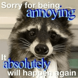 a raccoon with the words sorry for being annoying it absolutely will happen again on it 's face .