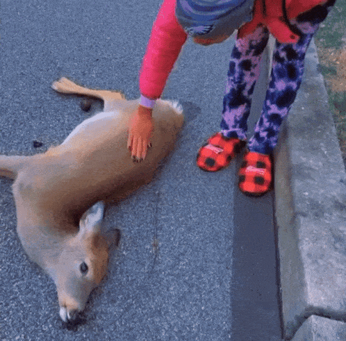 a little girl standing next to a dead deer wearing a pair of crocs