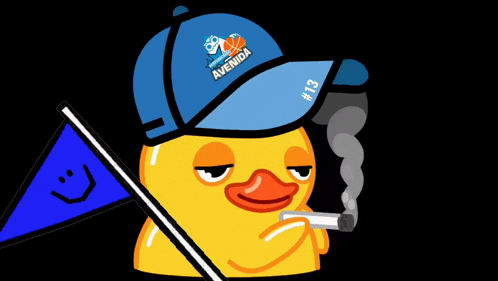a cartoon duck wearing a blue hat that says avenida