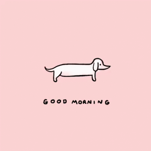Good Morning! GIF - Dachshund Dog Puppy GIFs
