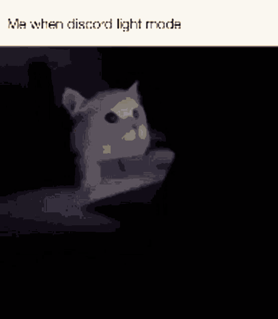 Discord Discord Light Mode GIF - Discord Discord Light Mode Cat GIFs