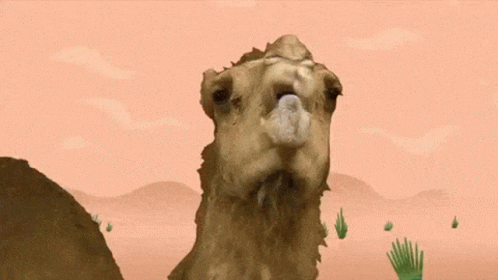 Passo Del Cammello Camel GIF - Passo Del Cammello Camel Storybot GIFs