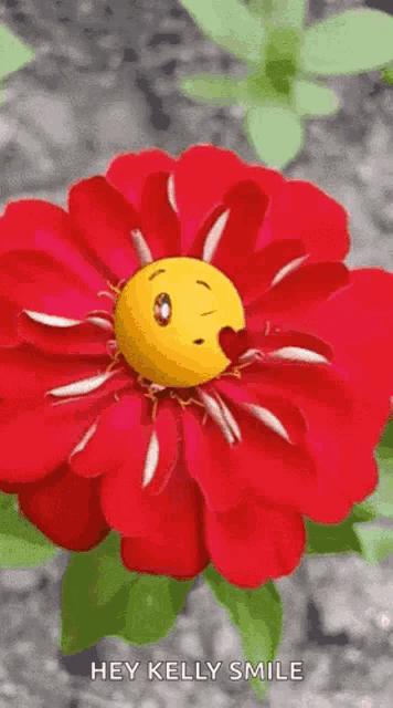 a red flower with a yellow smiley face on it and a heart in its center .