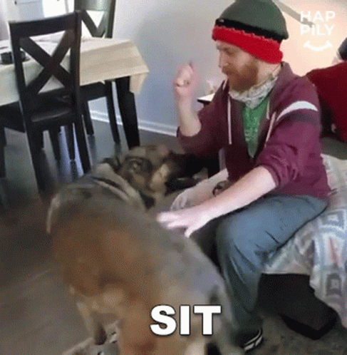 Sit Happily GIF - Sit Happily Dog GIFs