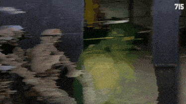 a blurred image of a person with the number 715 on the bottom right