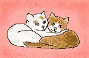 two cats are hugging each other on a pink background .