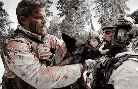 a man is holding a german shepherd dog in his arms while another man looks on .