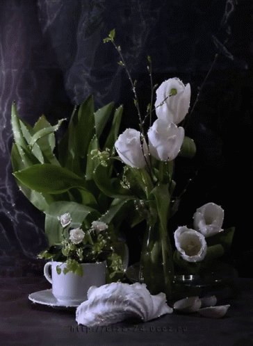 White Flowers GIF - White Flowers Teacup GIFs