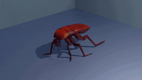 a 3d model of a flea is crawling on a blue surface