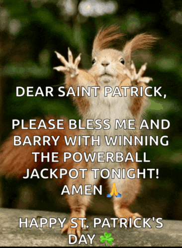a picture of a squirrel with the words dear saint patrick on it