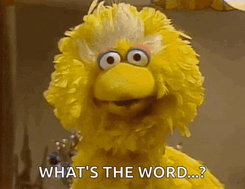 big bird from sesame street says " what 's the word ... "