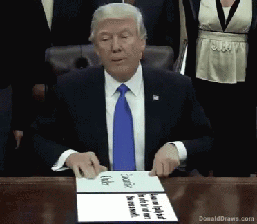 President Trump GIF - President Trump Donald GIFs