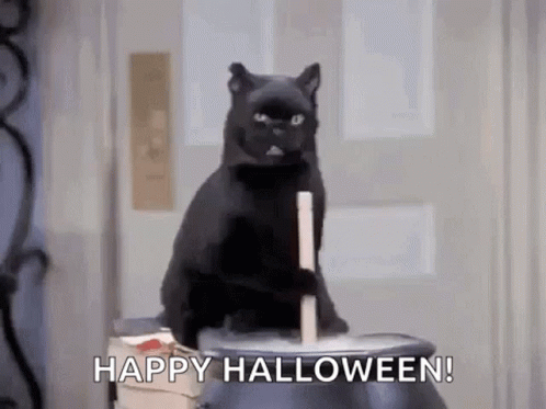 Black Cat GIF - Black Cat Witch GIFs