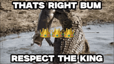 a picture of two alligators with crowns on their heads and the caption that says that 's right bum respect the king