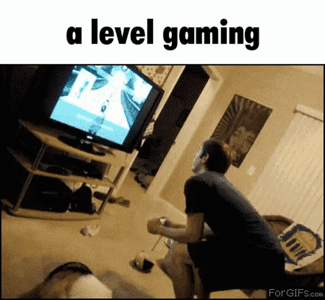 A Level Gaming GIF - A Level Gaming A Level Skim GIFs