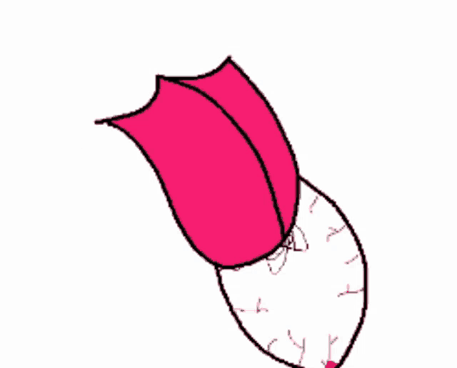 Lick Eye Lick GIF