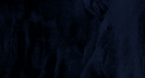 a dark blue background with a tree in the foreground .