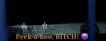 a sign that says peek-a-boo bitch with a picture of a wolf in the background