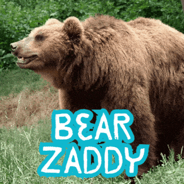 Bear Zaddy Bear Daddy GIF - Bear Zaddy Bear Daddy GIFs