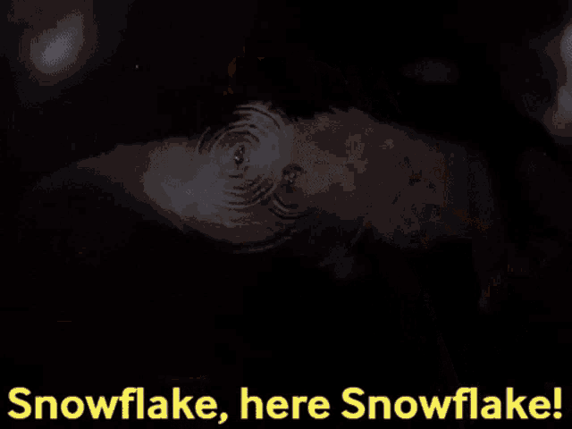 Snowflake Bait GIF - Snowflake Bait Ace Ventura GIFs