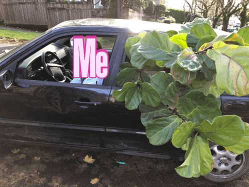 a car with a sign that says me on the window