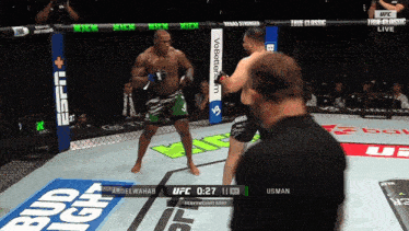ufc heavyweight bout between abdel wahab and usman is shown on espn