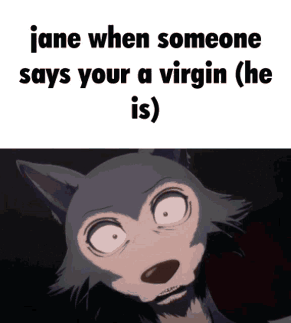 a picture of a wolf with a caption that says jane when someone says your a virgin