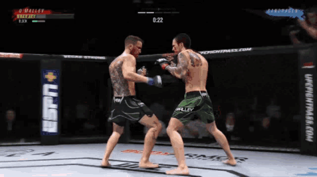 two fighters are fighting in a ring with a ufc logo on the side