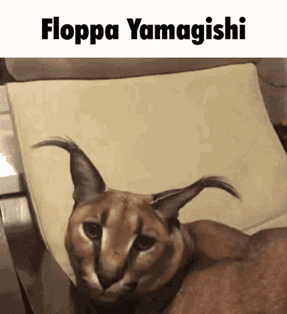 Floppa Fuuka GIF - Floppa Fuuka Fuuka Yamagishi GIFs