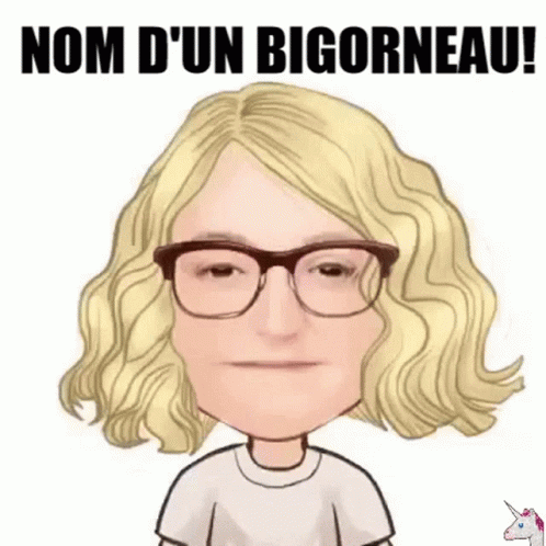 Nom D Un Bigorneau Barbara Laurame GIF - Nom D Un Bigorneau Barbara Laurame Sigh GIFs