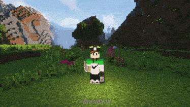 a screenshot of a minecraft game with the name brasilcraft on the bottom