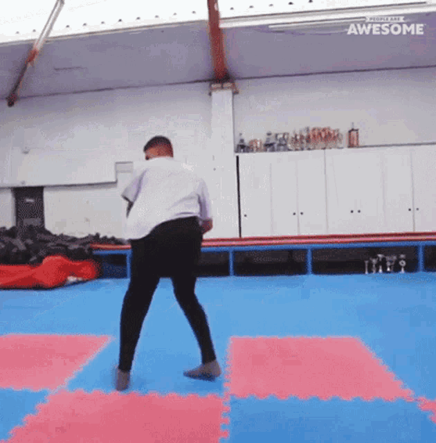 Exhibition People Are Awesome GIF - Exhibition People Are Awesome Tumbling GIFs