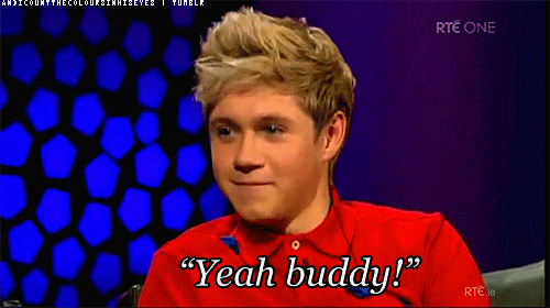 Yeah Buddy GIF - One Direction 1d Niall Horan GIFs