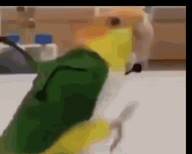 a green and yellow parrot is standing on a white surface .