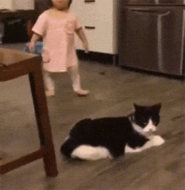 a little girl is standing next to a black and white cat on the floor in a kitchen .