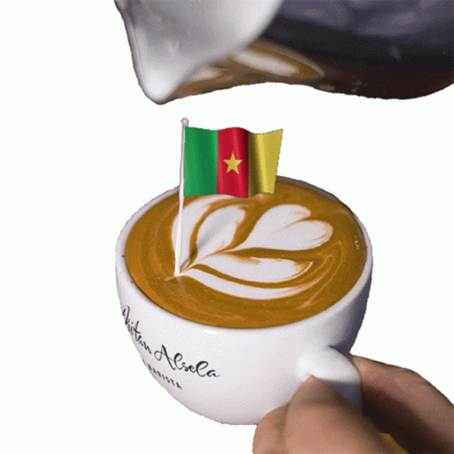 Cameroon Republic Of Cameroon GIF - Cameroon Republic Of Cameroon Yaounde GIFs