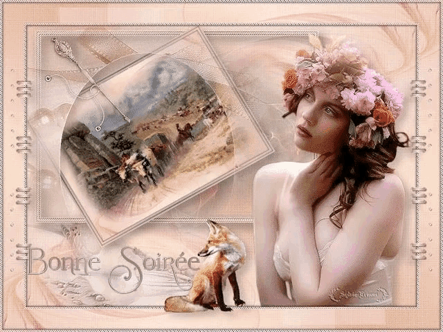 a picture of a woman and a fox with the words bonne soiree on it