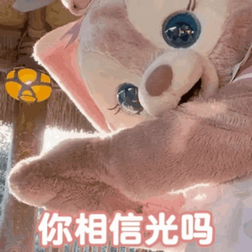 a stuffed animal with chinese writing on it
