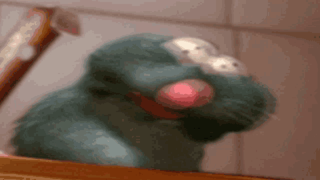 a close up of a stuffed animal with a red nose and eyes