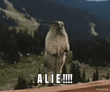 Alie Beaver GIF - Alie Beaver Yell GIFs