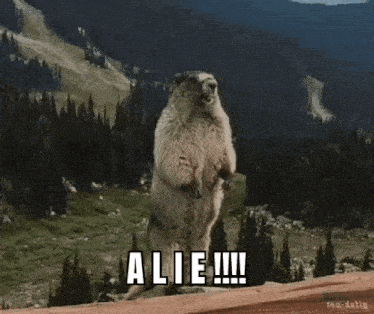 a groundhog is standing on its hind legs in front of a forest and says " alie "