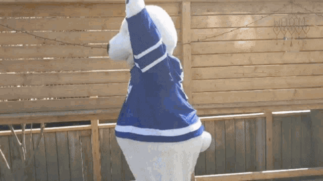a stuffed polar bear wearing a blue and white jersey stands in front of a wooden fence